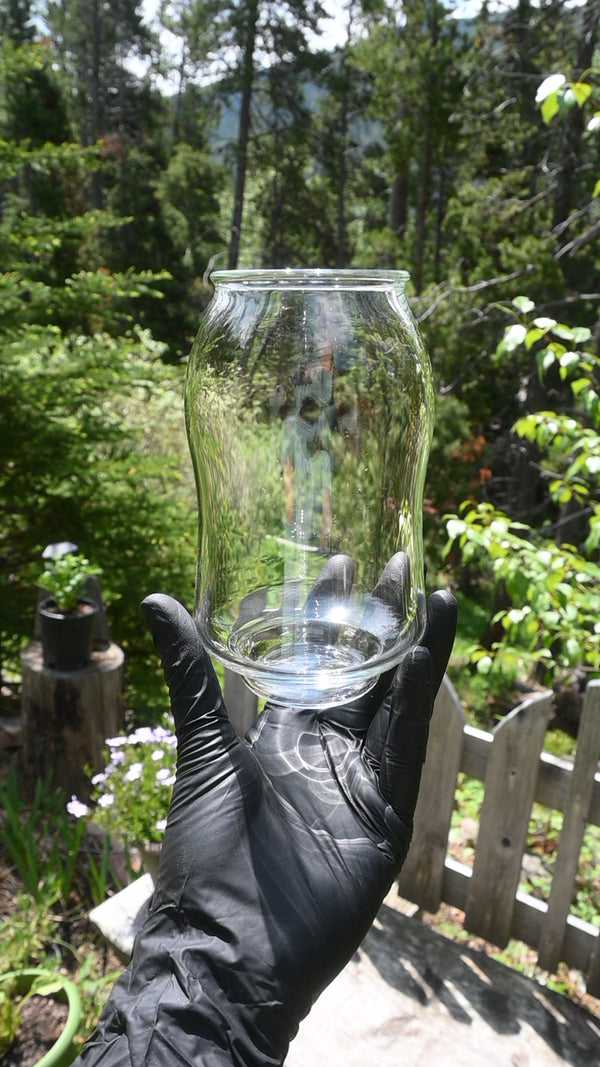 Sonnumberfour Glass Cup